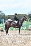 BPP_4667