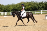 SBM_008184