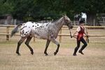 WJ6_8522