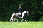 WJ7_2652