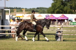 SBM_18742