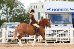 SBM_16912