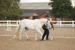 SBM_07729