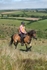 SPXX0242