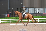 189-Amy.Schiessl-Balvenie.B portfolio