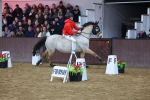 SBM_003293