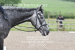 BPP_0060