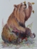 Bears, Blossoms and Butterflies