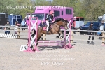 BPP_0963