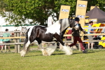 SBM_08774
