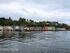 Tobermory, Riot of Colour, 5