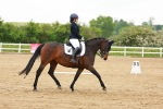 SBM_006009