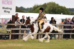 SBM_06157