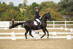 SBM_003462