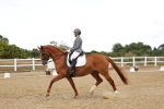SBM_007549