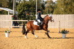 SBM_28352