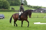 MBRC Ridden/Dressage May 2014 portfolio