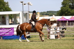 SBM_17711