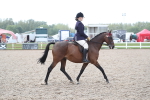 SBM_21644