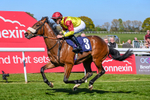 230426-Race 2-Matteo-3904