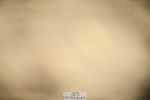 251004A-150414-01652