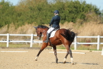 SBM_001531