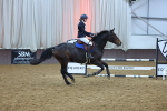 SBM_002376
