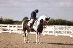 SBM_08014