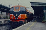 Dublin Connolly portfolio
