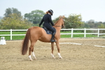 LAD_3761