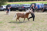 WJ6_6941