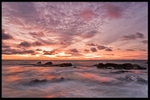Sauchar Point - Fife