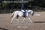 BPP_8380