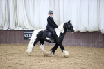 SBM_6333