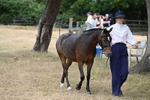WJ6_7963