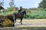 WJ5_2009
