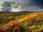 Little Whernside