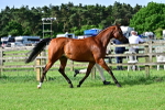 SBM_01040