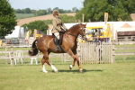 SBM_09681