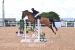 BPP_6175