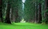 Benmore Gardens 1