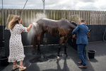 220825-Race 4-Asfoora-1680