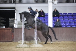 SBM_002561