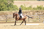 SBM_001690