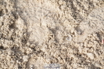 250613A-080644-00894