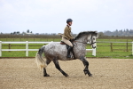 SBM_006927