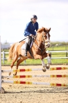 Class 14 - Clear Round portfolio