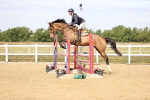 SBM_009391