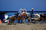 3HRodeo8-11-25_PRCASteer_00274_