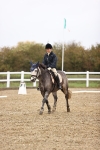SBM_001964